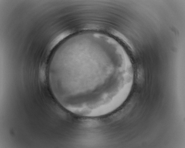 X0000116050874200912312250