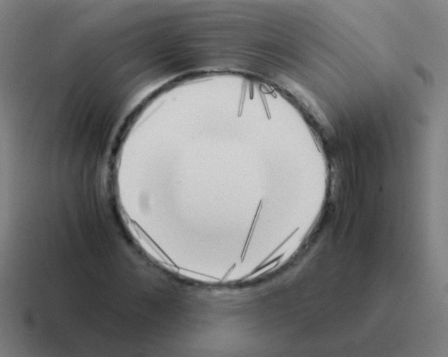 X0000116050876200912312250
