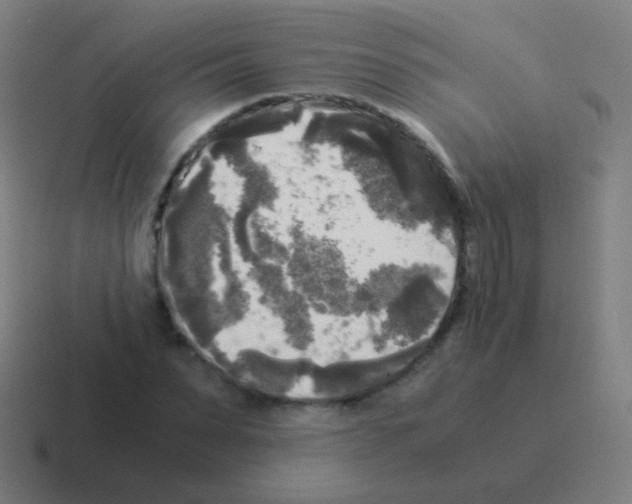 X0000116050879200912312250