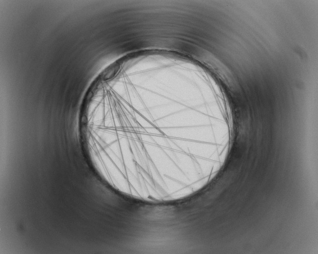 X0000116050884200912312250