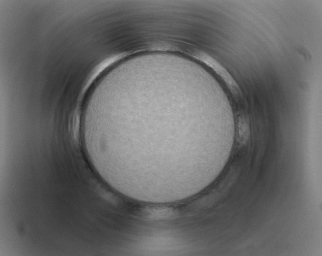 X0000116050886200912312250