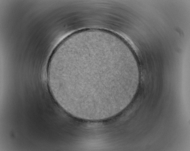 X0000116050887200912312250