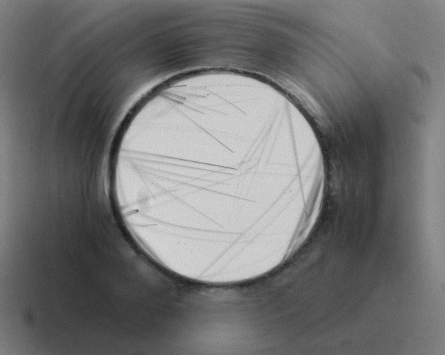 X0000116050888200912312250