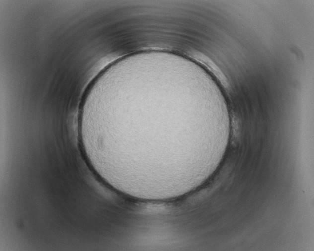 X0000116050890200912312250