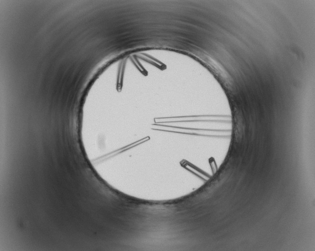 X0000116050896200912312250