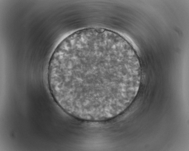 X0000116050903200912312250