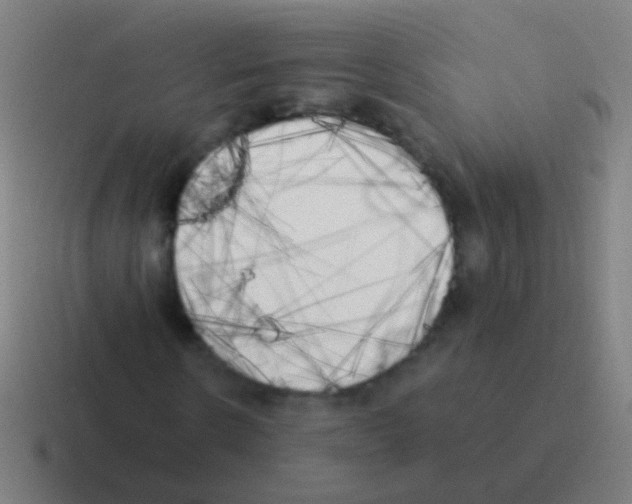X0000116050914200912312249