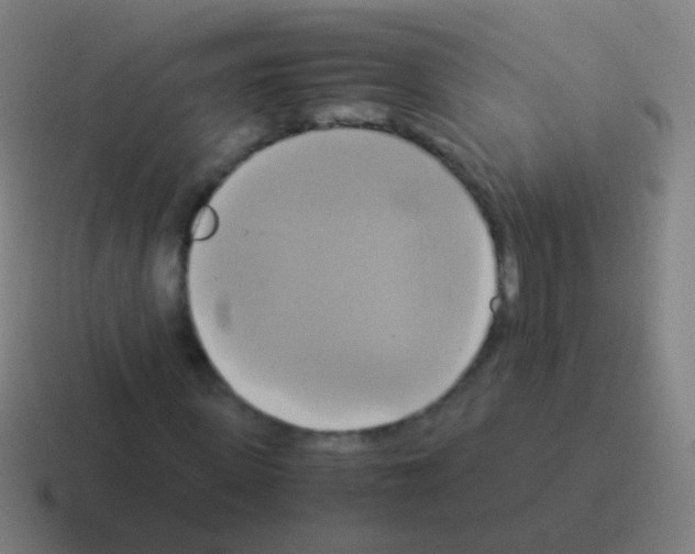 X0000116050915200912312249