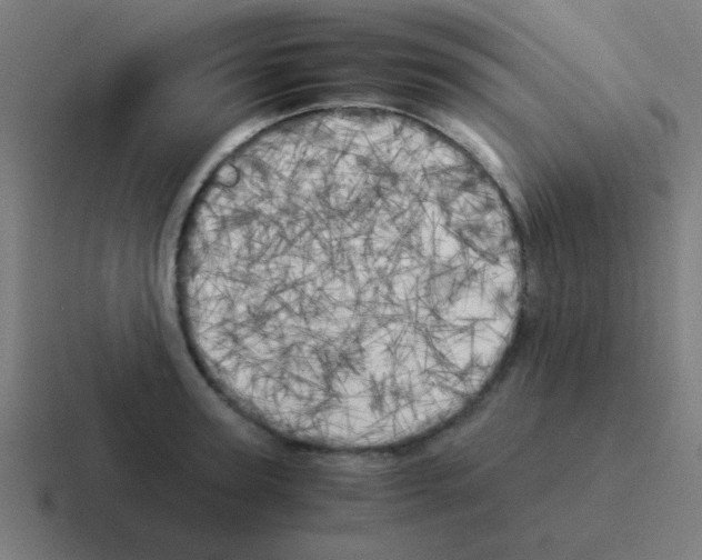 X0000116050947200912312249
