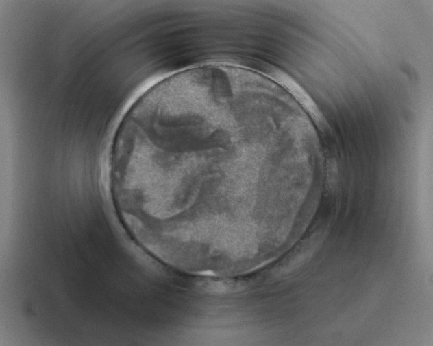 X0000116050955200912312249