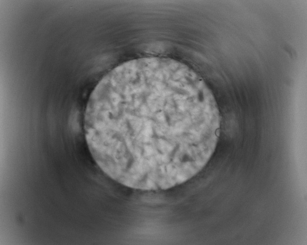 X0000116050962200912312249