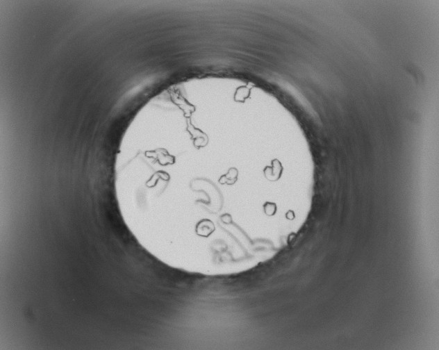 X0000116050967200912312249