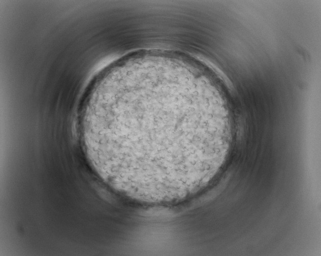X0000116050974200912312249