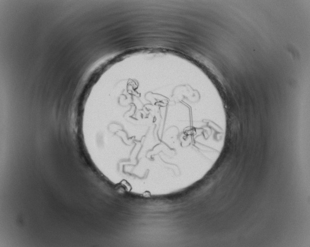 X0000116050979200912312249
