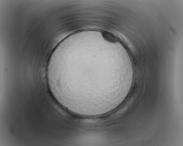 X0000116050985200912312248