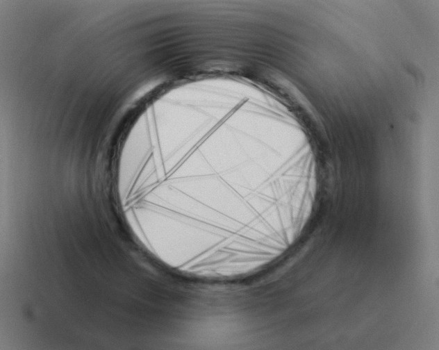 X0000116051018200912312248