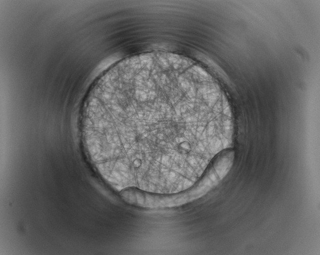 X0000116051026200912312248