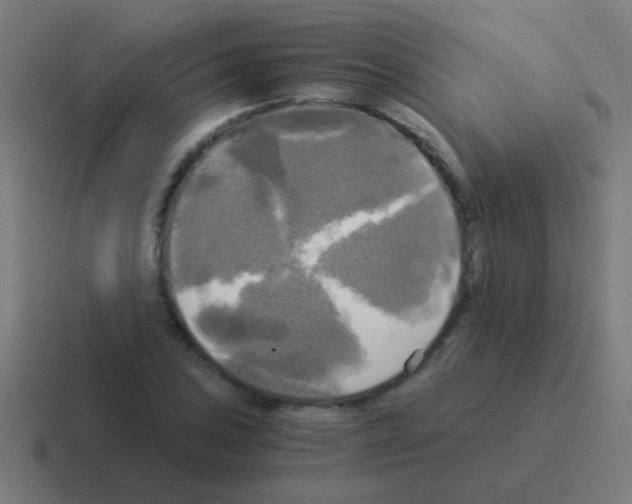 X0000116051027200912312248