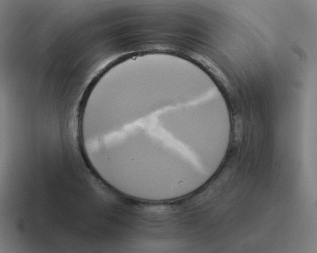 X0000116051031200912312248