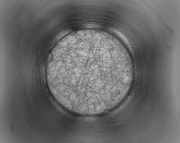 X0000116051041200912312248