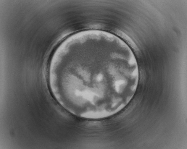 X0000116051043200912312248