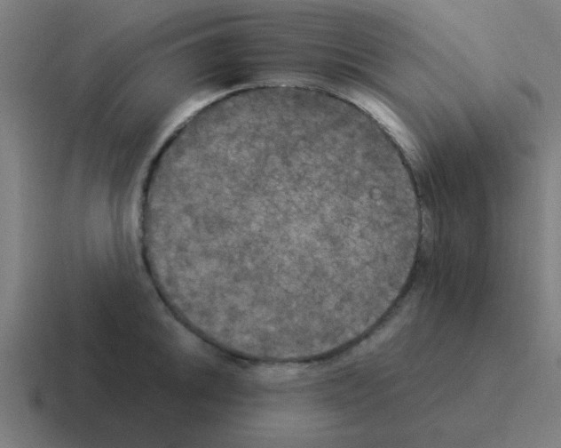 X0000116051046200912312248
