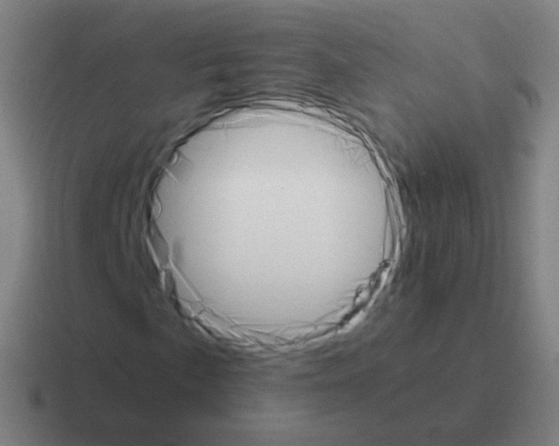 X0000116051057200912312248