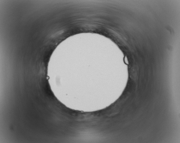 X0000116051061200912312248