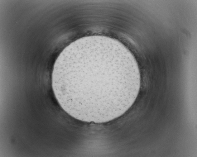 X0000116051062200912312248