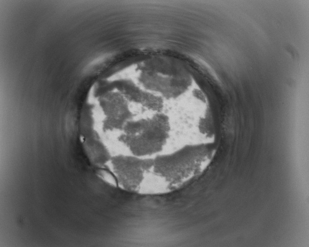 X0000116051063200912312248