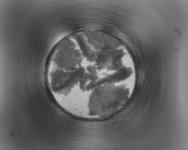 X0000116051071200912312247