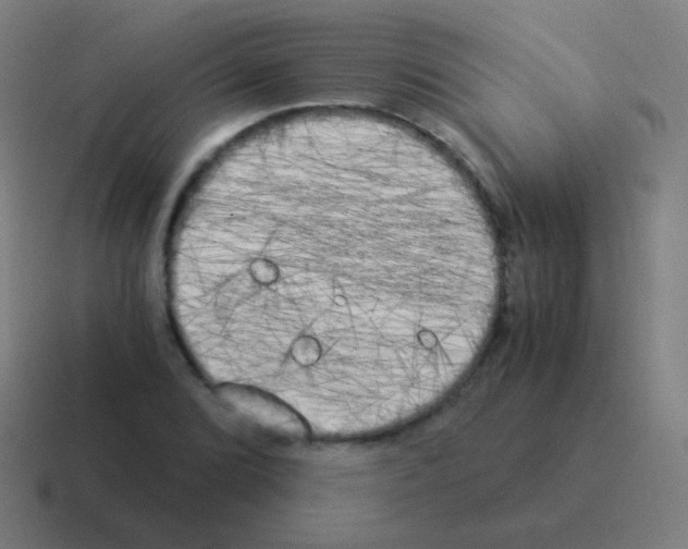 X0000116051072200912312247
