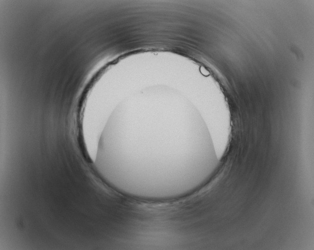 X0000116051075200912312247