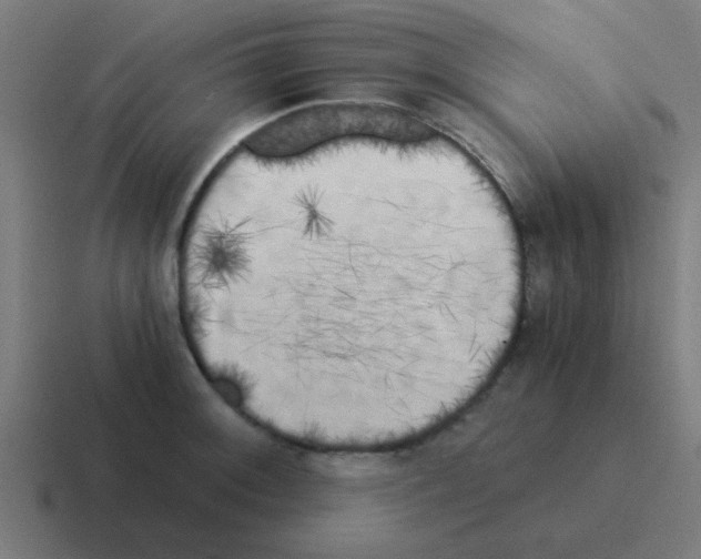 X0000116051092200912312247