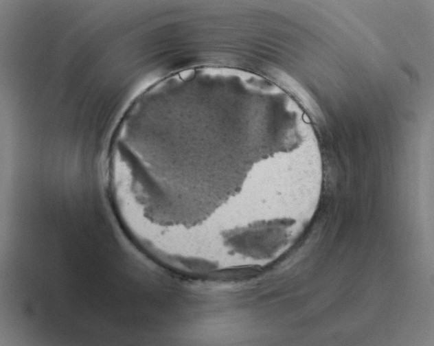 X0000116051095200912312247