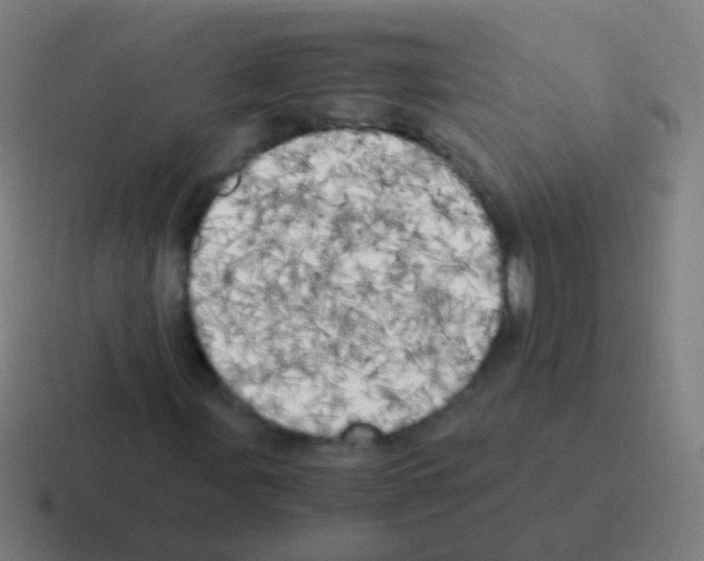 X0000116051107200912312246
