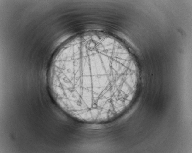 X0000116051113200912312246