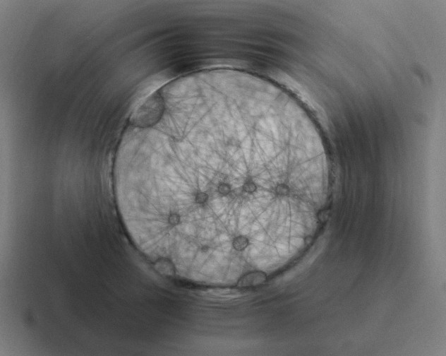 X0000116051137200912312247