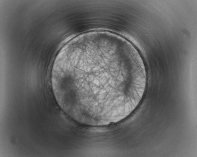 X0000116051145200912312247