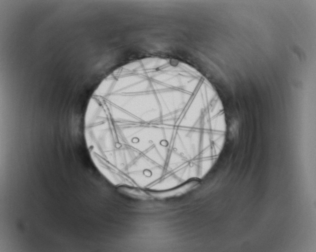 X0000116051156200912312246
