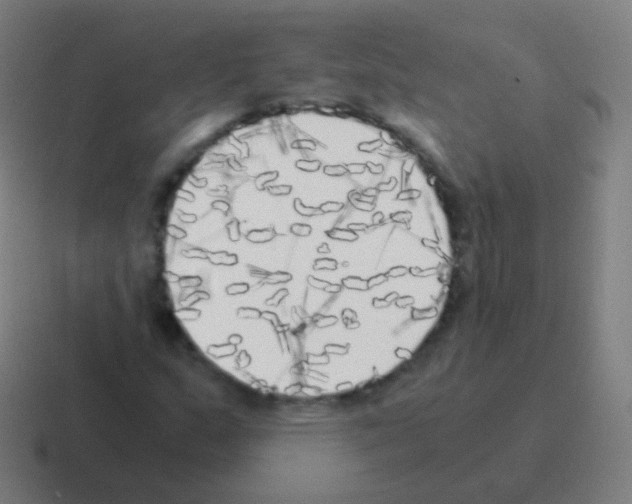 X0000116051159200912312246