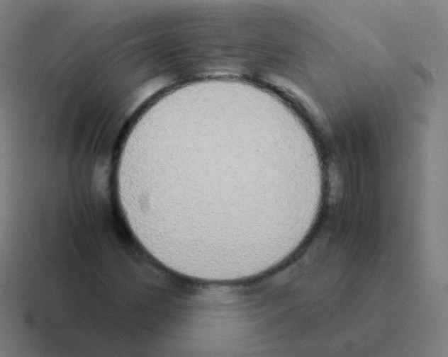X0000116051162200912312246