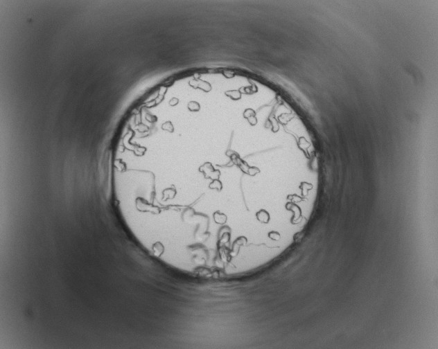 X0000116051175200912312246