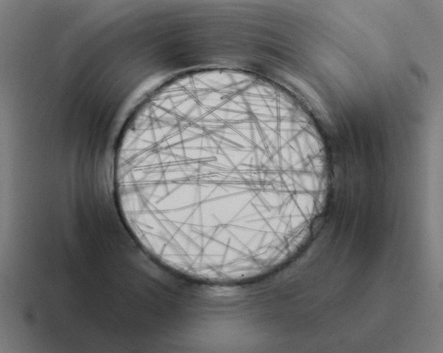 X0000116051180200912312246