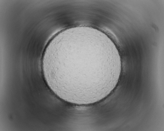 X0000116051182200912312246