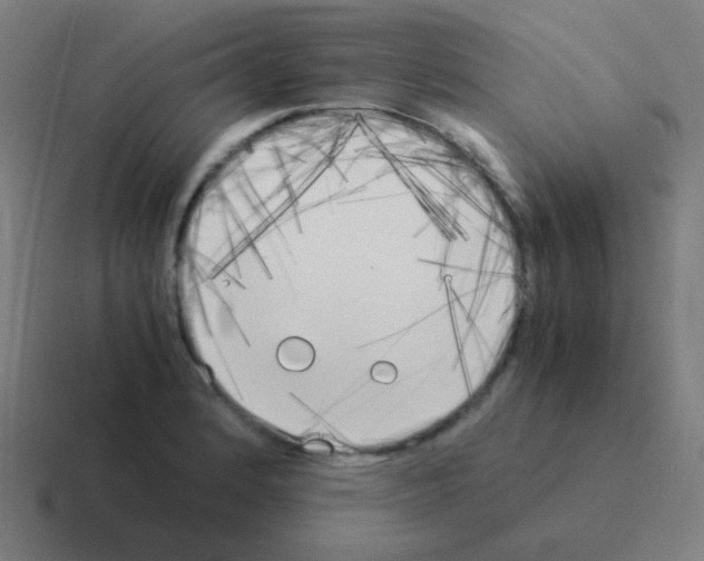X0000116051184200912312246
