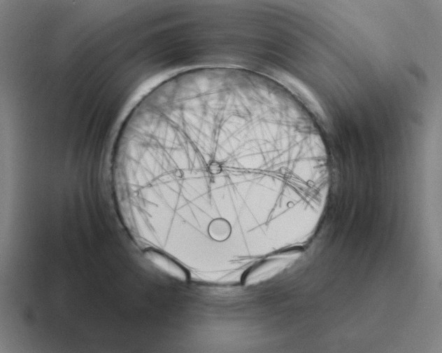 X0000116051192200912312246