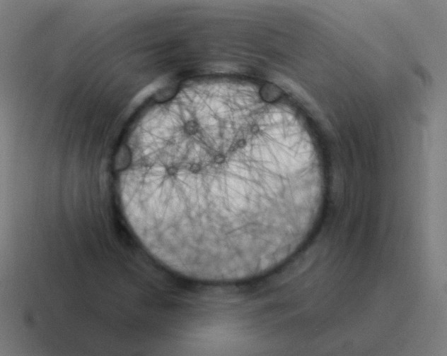 X0000116051210200912312245