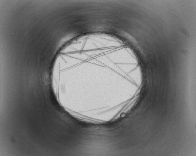 X0000116051218200912312245