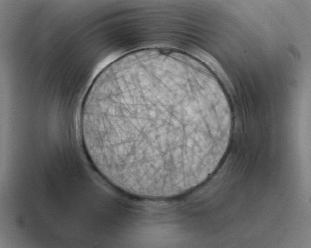 X0000116051242200912312246